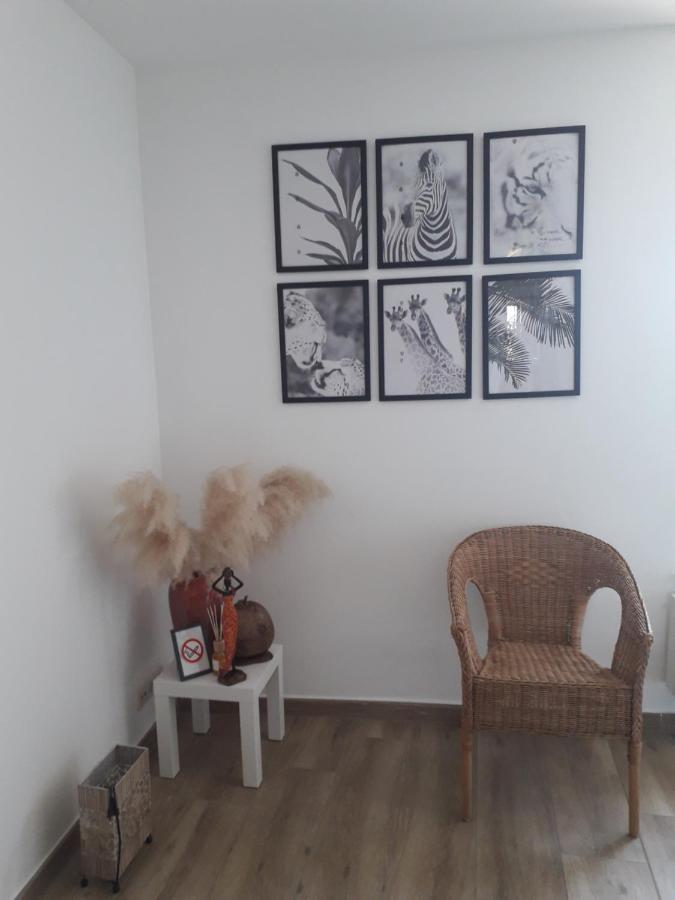 Veronique Schouckens Binche Dış mekan fotoğraf